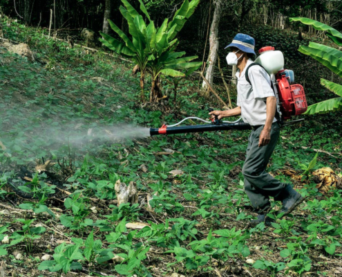 frutta-e-verdura-contaminata-da-pesticidi