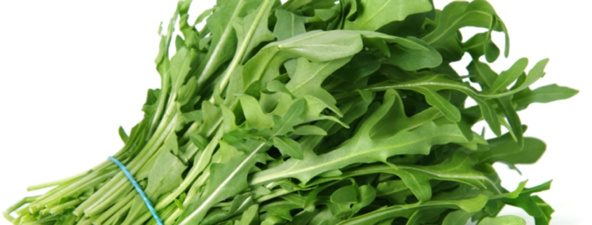 la-rucola