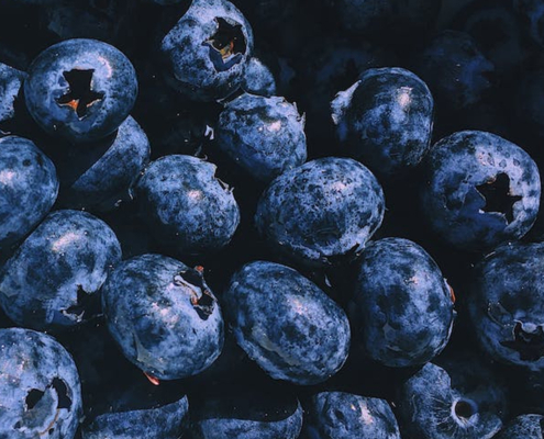 mirtillo-l'elisir-di-lunga-vita