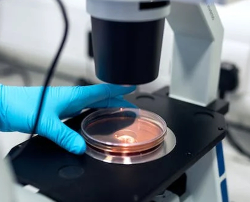 molecola-contro-obesità