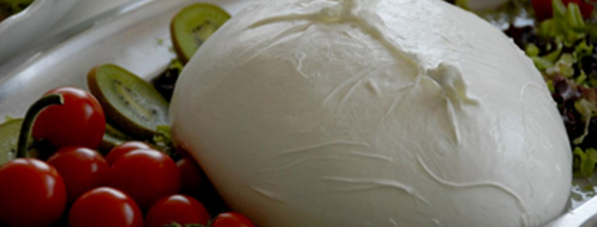 mozzrella-di-bufala-DOP