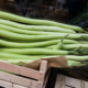 zucchine-di-ballarò