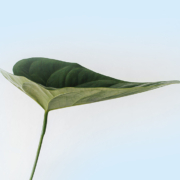 Un-Viaggio-Gustoso-Verso-la-Sostenibilita