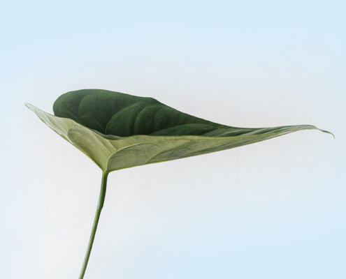 Un-Viaggio-Gustoso-Verso-la-Sostenibilita