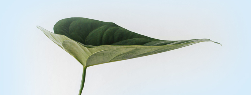 Un-Viaggio-Gustoso-Verso-la-Sostenibilita