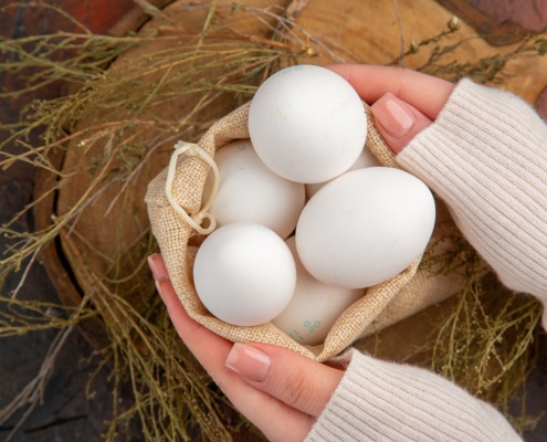 Designed by Freepick