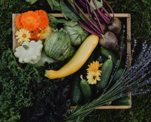 consumo cibi biologici ortoressia nervosa