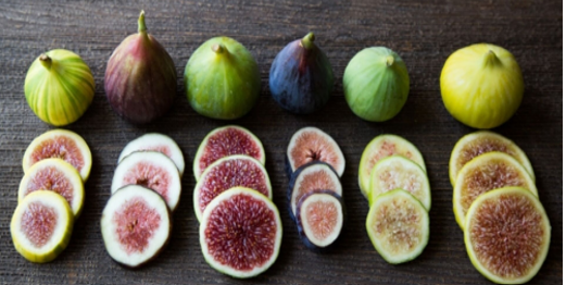 seconda immagine fico