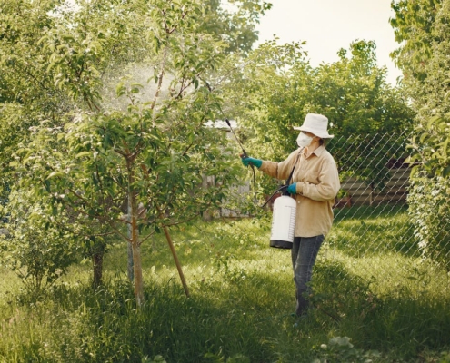 Designed by Freepick