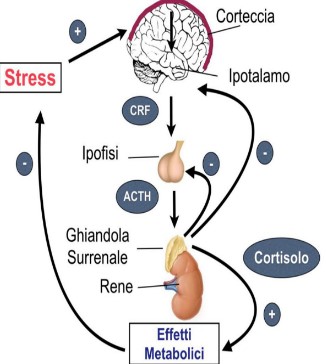 stress e mindfulness